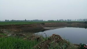 大城縣城關鎮的坑塘治理工程